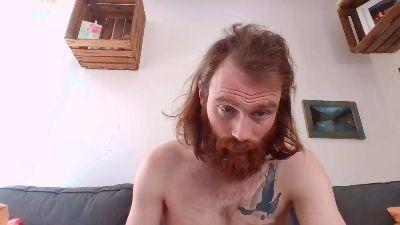 ShyGingerToy