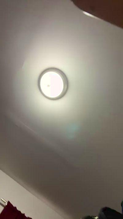 ShyGirll24