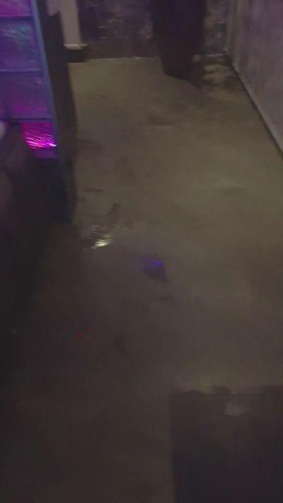 Stouteboy1