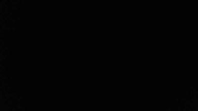 Suzan_Lor