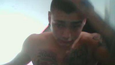 TATUADOpauzudo