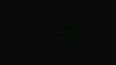 TSsexlive
