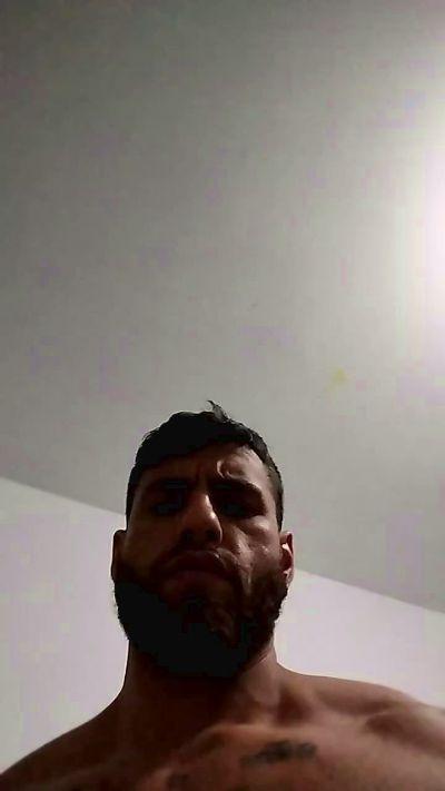 Tiger_White