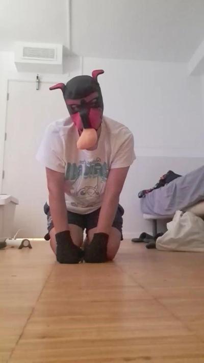 Tobypuppy