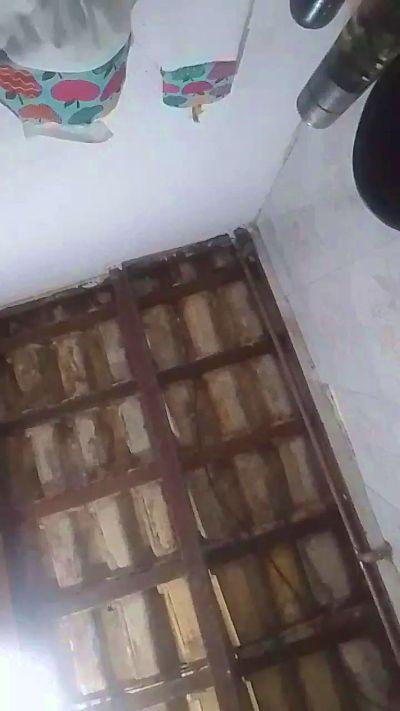 Tocotudo