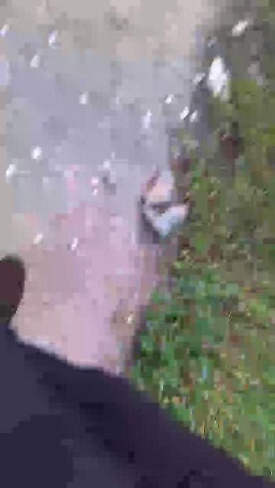 Toparosxl