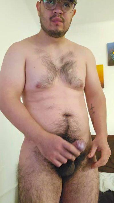 Torobull3