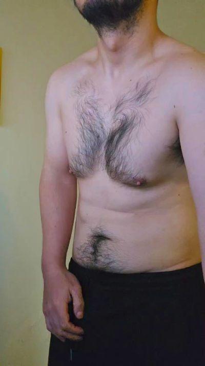 Torobull_