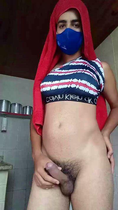 Transviviane