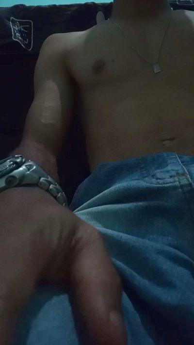 Vanessinhavello