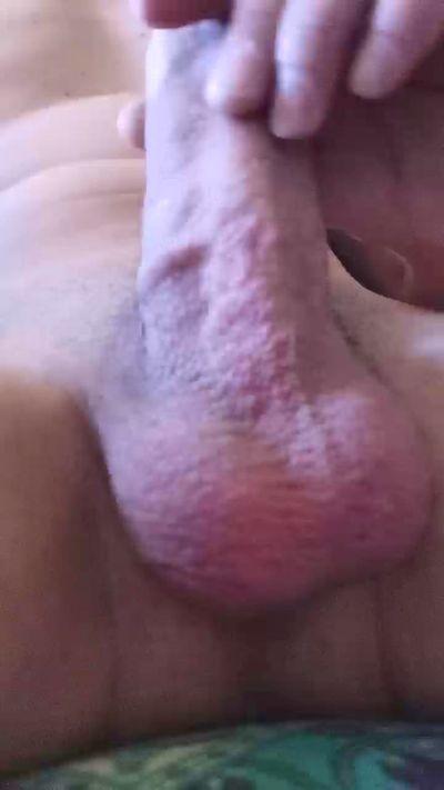 Vergonbichi