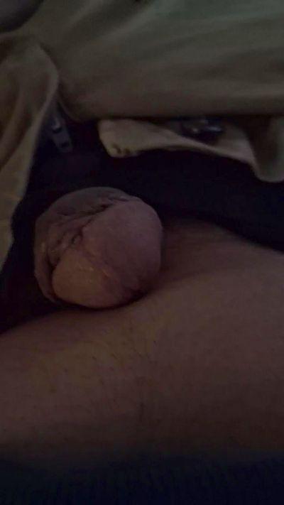 Wirwollenfick79