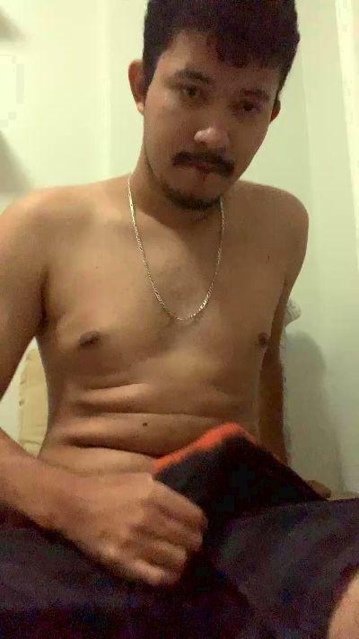 XDomsz
