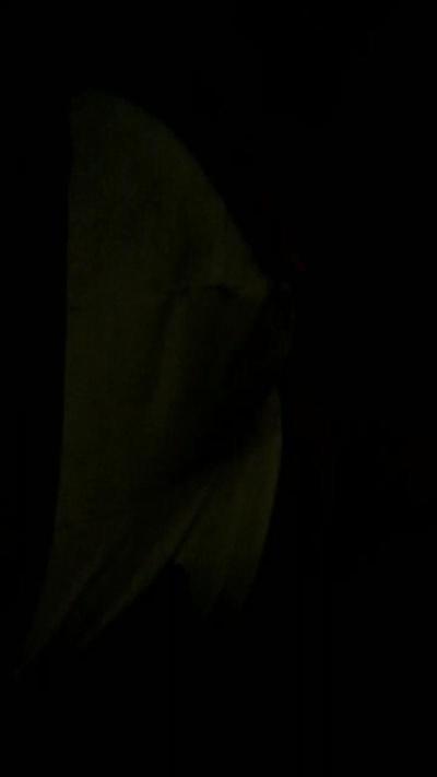 Xcamsl