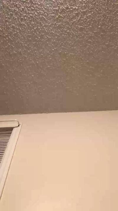 Zadyzay