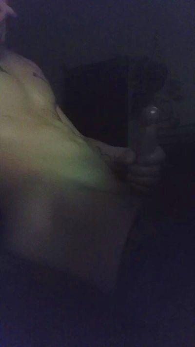 _Corvus_