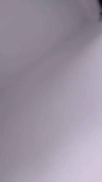 alexaferrer1