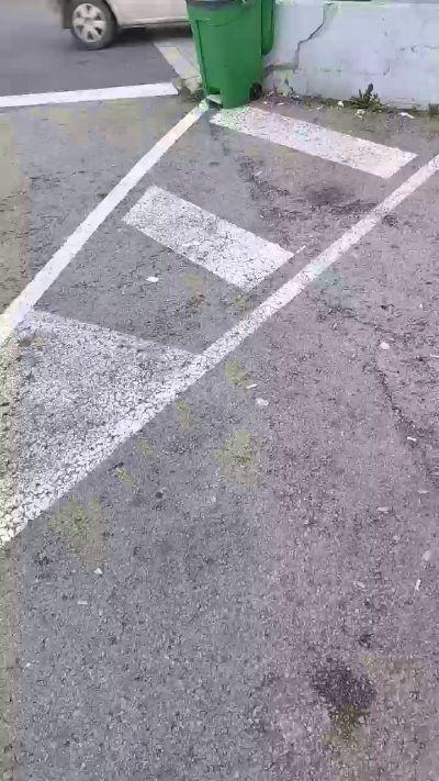 amir_