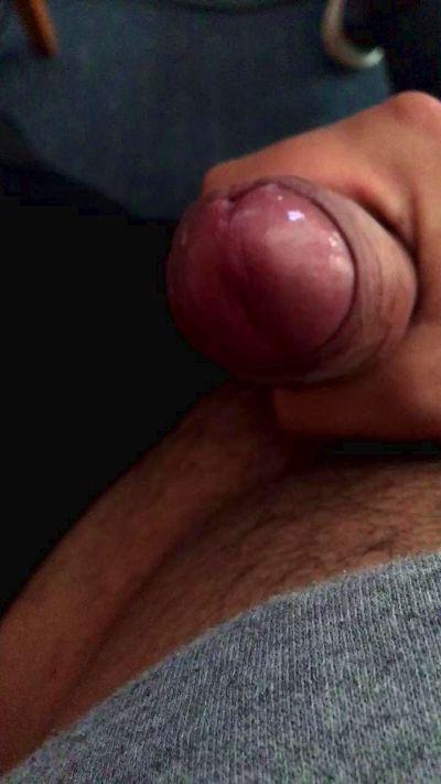 andress216