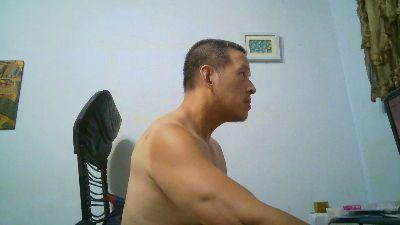 bear978