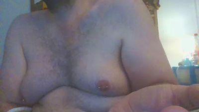 bearsoumiexhibe
