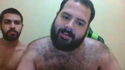 beartwtnk