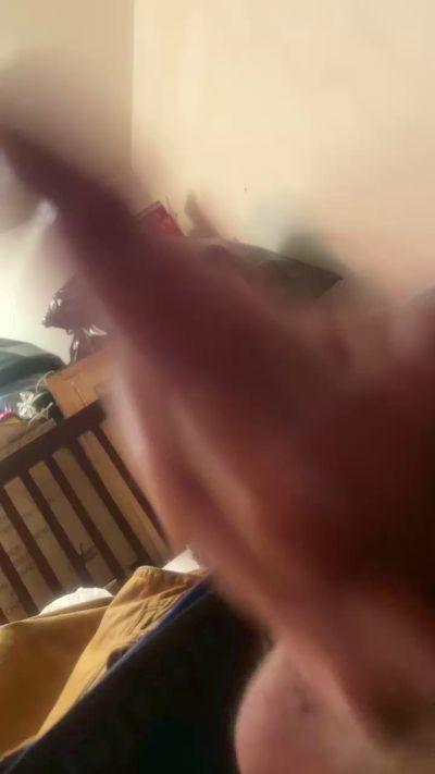 bflipp1