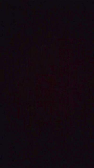 bidot_hot