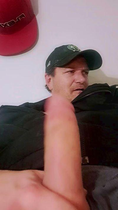 bitemypillo1