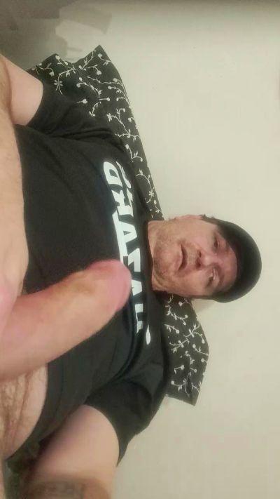 bitemypillo1