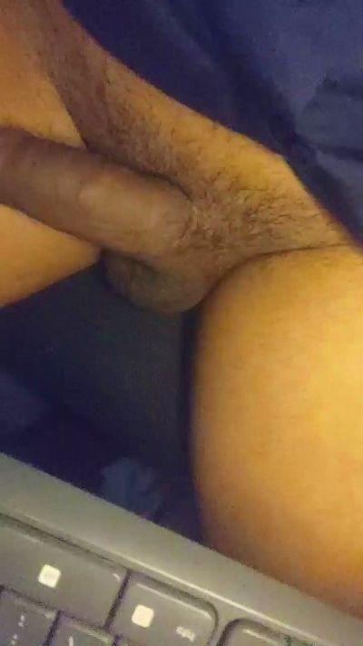 brunoHome4