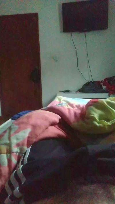 bruno_mcr7