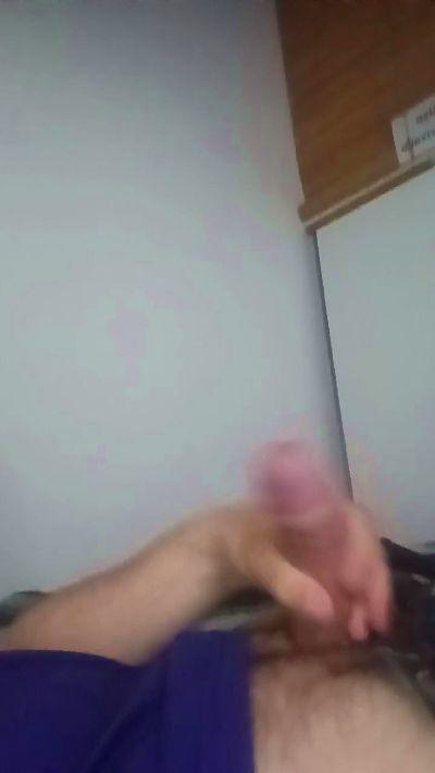 brunodegoas