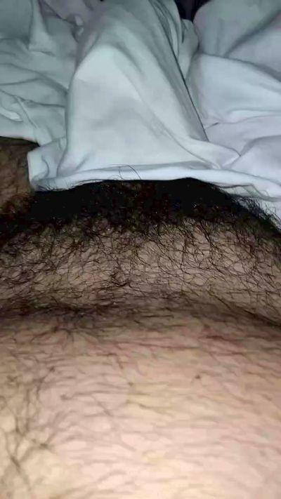 bulldominante69
