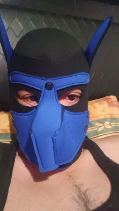 cachorromexsexy