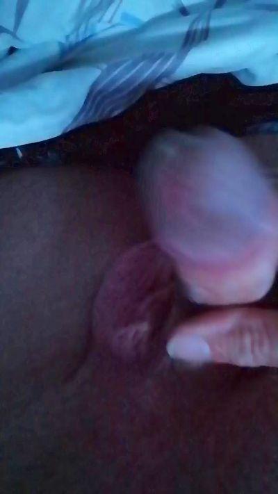 carlesll