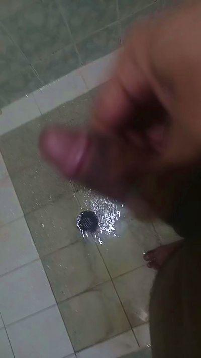 carpapu31265