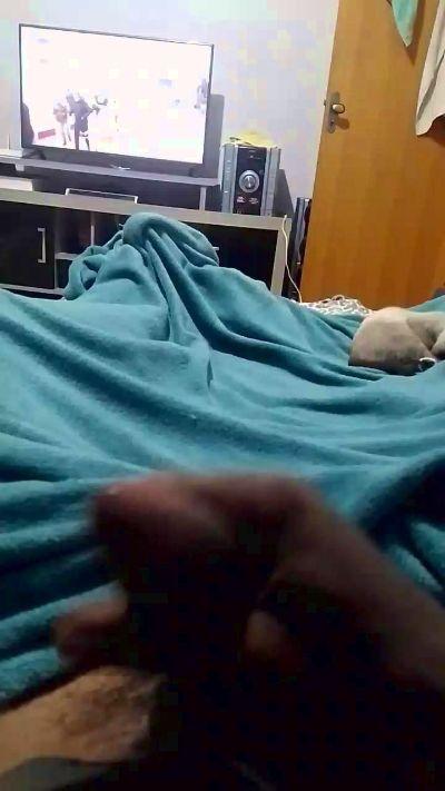 casal642