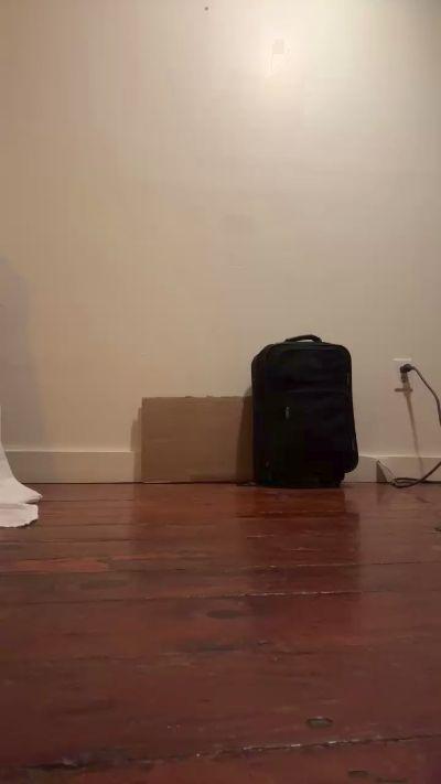 catcock69