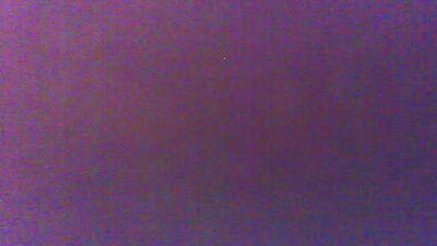 cerco_circexxx