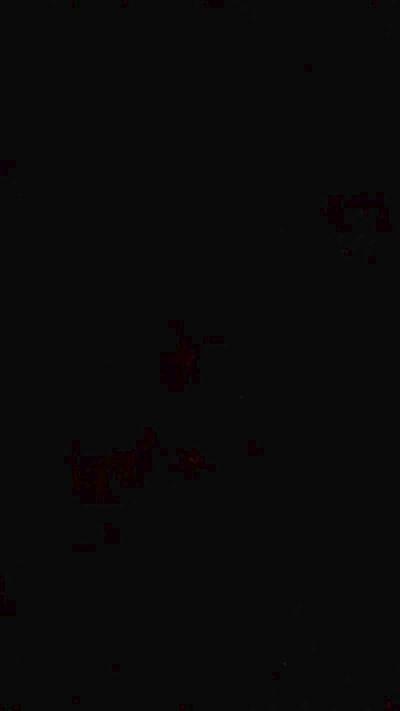 chpamela3