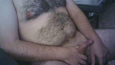 chubibear