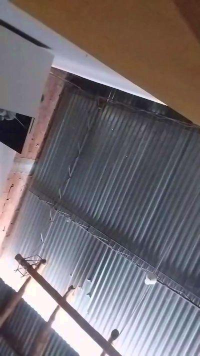 craneo_metal