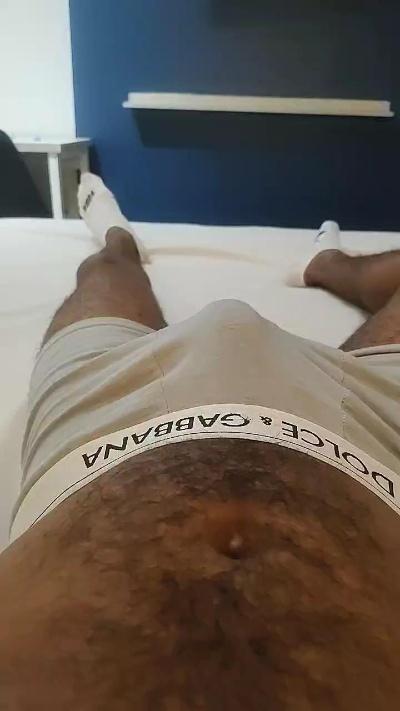 domsagazsp