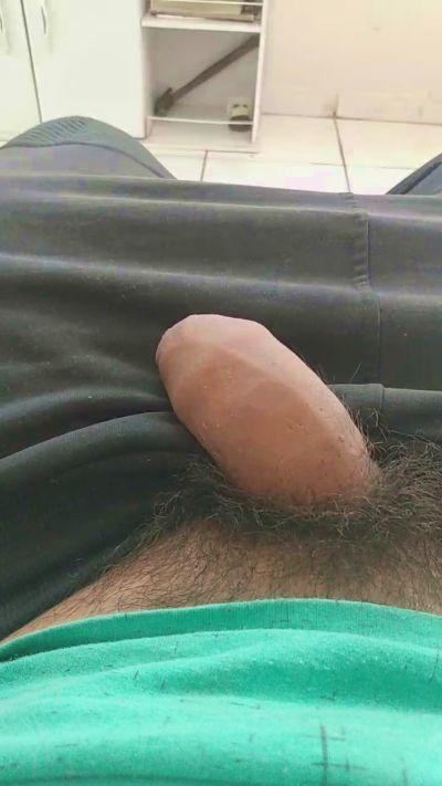 dotado_gato2