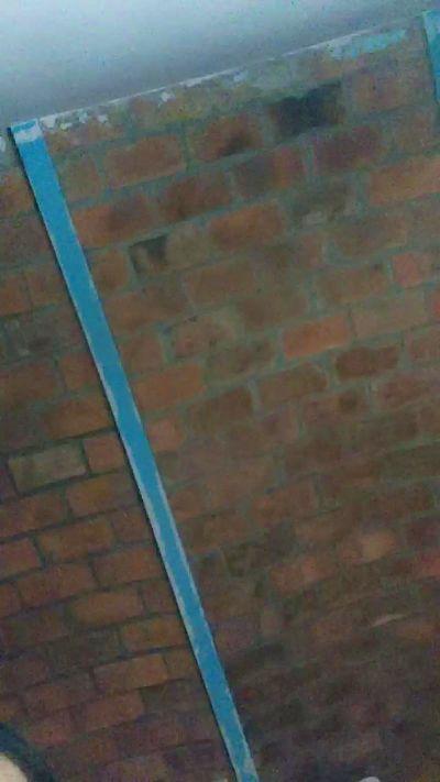 elizconejita1