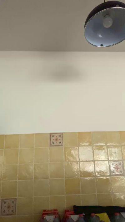 enzoetdiego_hot