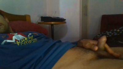 fitomaster33