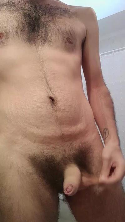 franck377