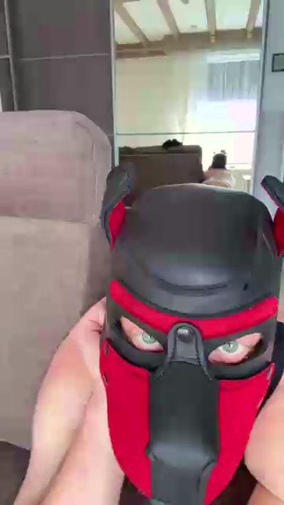 fuckpyppydog